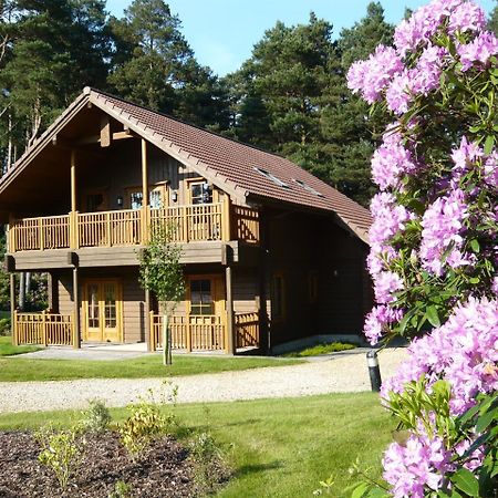 The Dorset Resort East Stoke (Dorset) Exterior foto